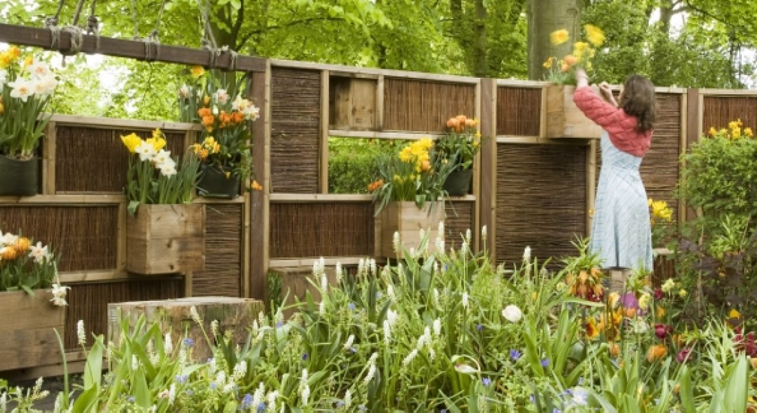 Buurjongens groenschutting