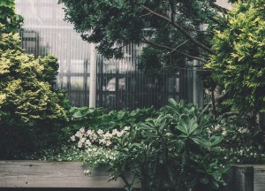 Hoe richt ik mijn stadstuin in? - 