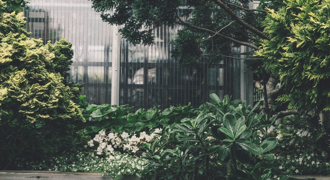 Hoe richt ik mijn stadstuin in?