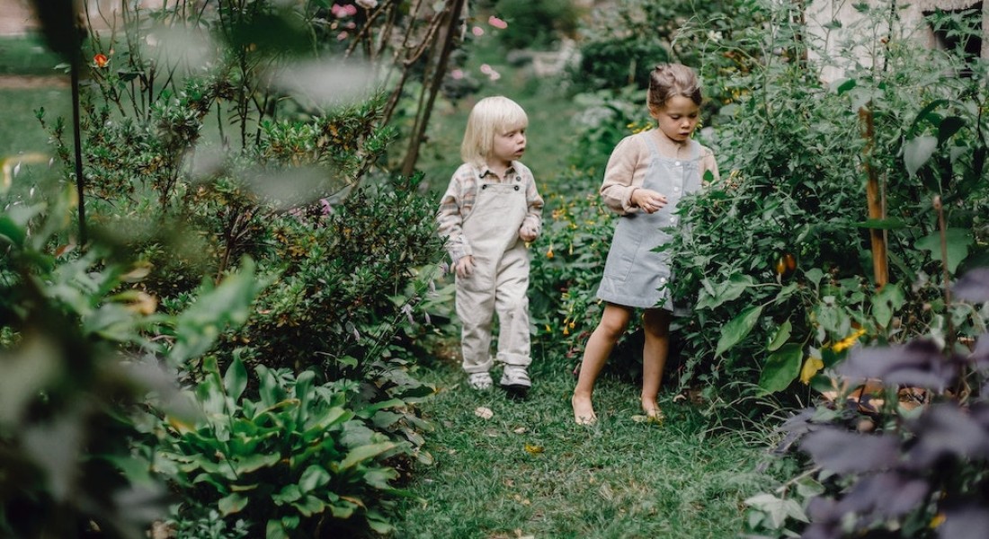Denk aan deze vier dingen om je tuin veilig te maken