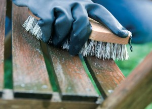 Exterior Cleaner | WOCA - Woca