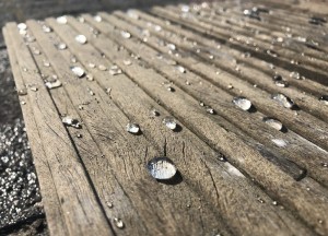 Exterior Wood Shield | WOCA - Woca