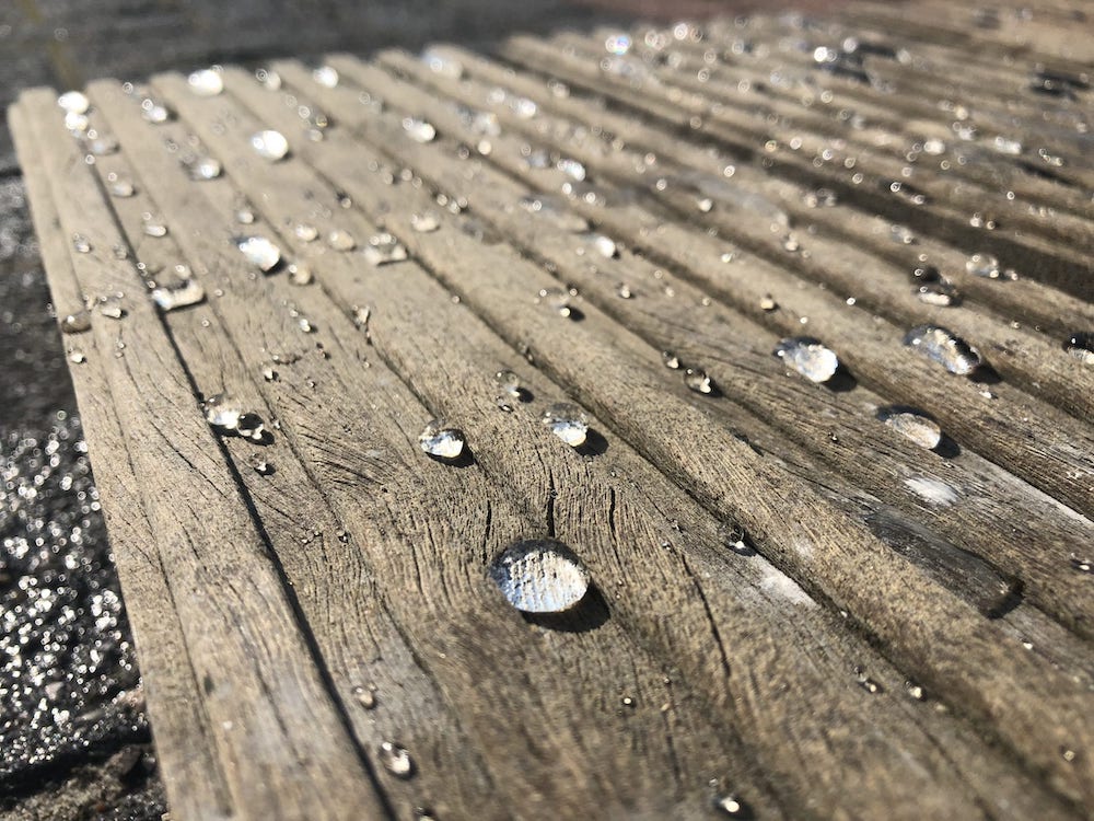 Exterior Wood Shield | WOCA