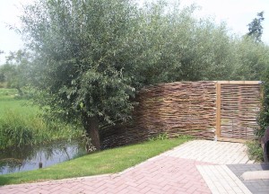 Authentieke erfafscheiding | Wilhout - Wilhout wilgentenen schuttingen