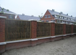 Veelzijdig wilghenhout | Wilhout