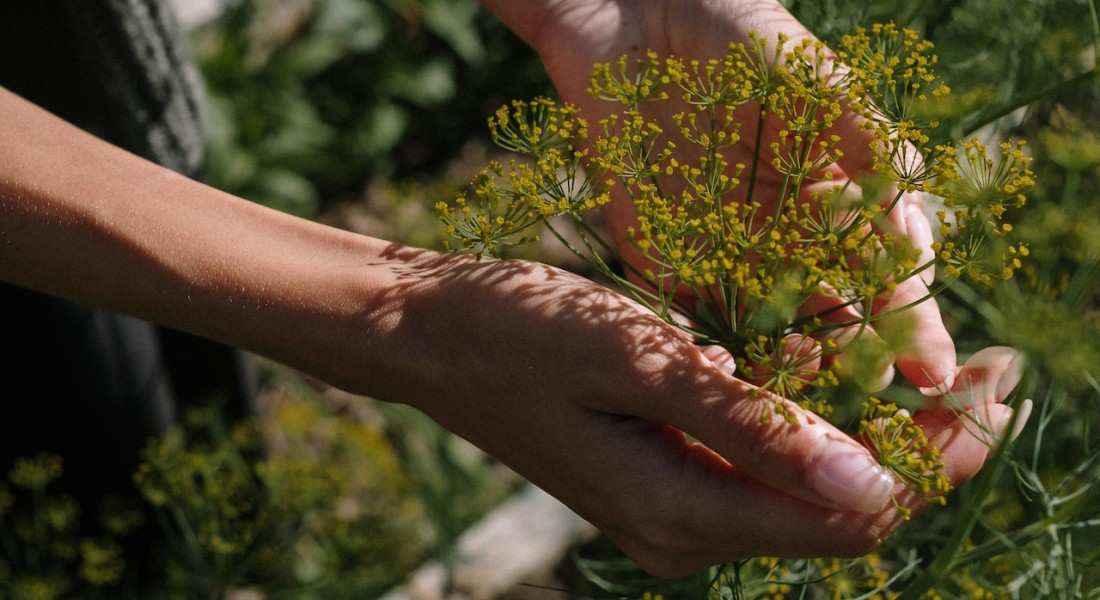 Een onderhoudsarme tuin aanleggen? Zo doe je dat!