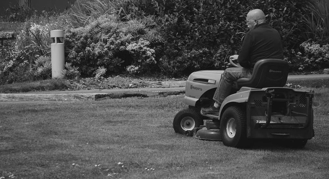 Tuin klaar? Wat nu: tips voor de zomermaanden