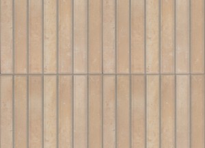 Barritas Biscuit wandtegel | Designtegels.nl