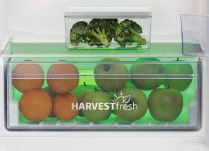 Koelkast met HarvestFresh® lade | Beko