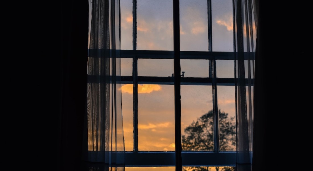 Vliegenramen zijn de ultieme bescherming tegen ongedierte in huis