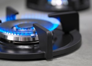 De dubbele brander van PITT cooking - 