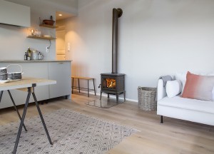 Houtkachel F 100 ECO.2 LL | Jøtul - Jøtul