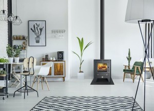 Stalen houtkachel | Reny - Reny