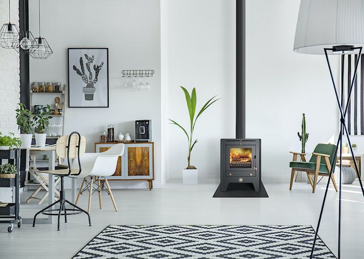 Stalen houtkachel | Reny