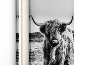 Ontdek de veelzijdigheid van foto’s als wanddecoratie voor de keuken - 