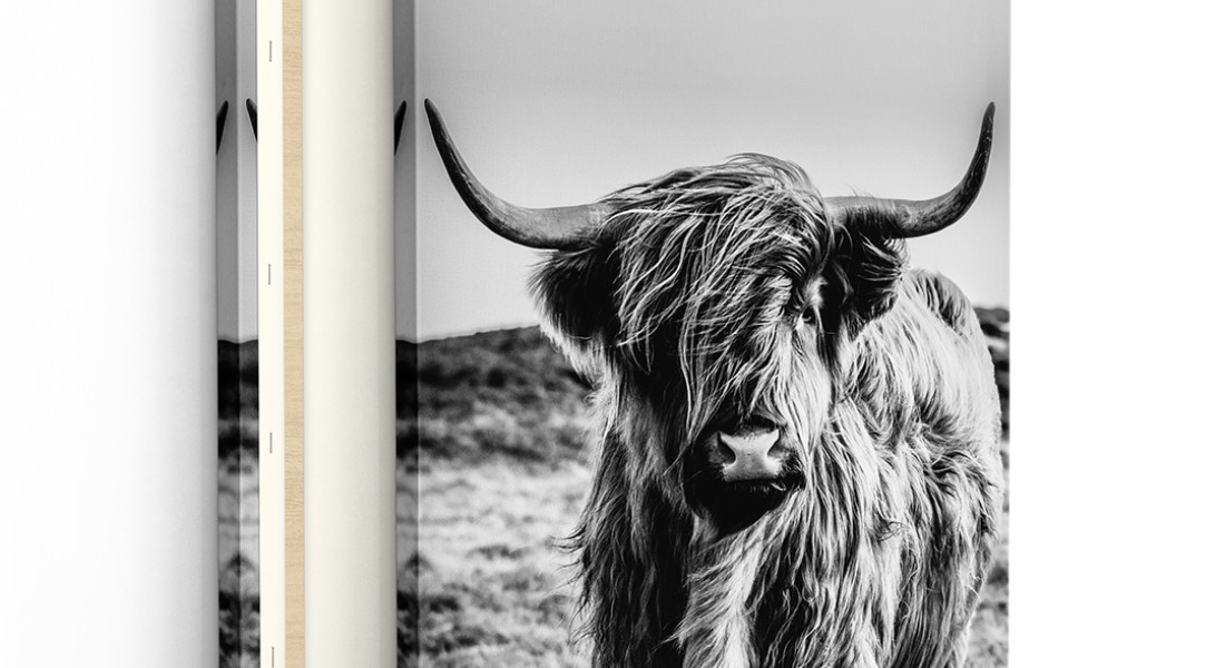 Ontdek de veelzijdigheid van foto’s als wanddecoratie voor de keuken
