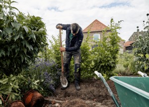 Zen in de achtertuin: ideeën voor een rustgevende tuinomgeving - 
