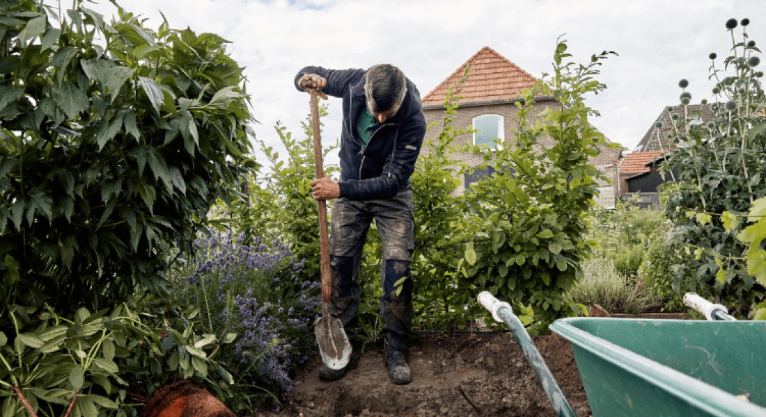 Zen in de achtertuin: ideeën voor een rustgevende tuinomgeving