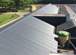 Wonen in een verbouwde schuur of stal kan heel comfortabel en duurzaam zijn - 