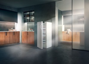 Betaalbare vriezers die super energiezuinig zijn - 