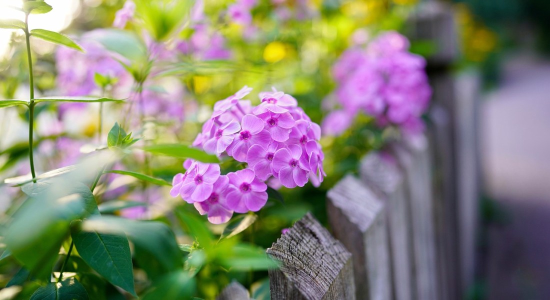 DIY hekwerk: installeer je eigen hekwerk rondom je tuin