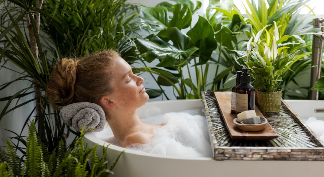 Luchtzuiverende planten in huis
