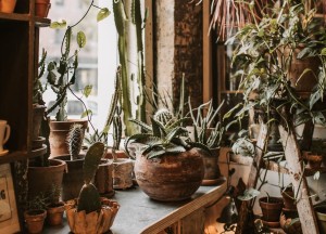 Hoe ziet de interieurtrend 'cottagecore' eruit? - 