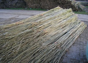 Eindeloze Tuinmogelijkheden | Wilhout