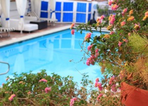 Waarop te letten bij het kopen van een zwembad voor je tuin - 