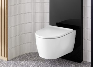 Zonder hakken en breken een nieuw toilet - Geberit