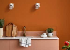 Kleur in de keuken - 