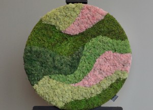 Moscirkel Pixi | Moswens - Moswens