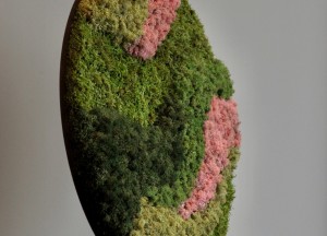 Moscirkel Pixi | Moswens