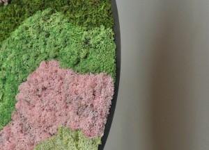 Moscirkel Pixi | Moswens