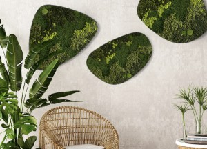 Mosdot | Moswens - Moswens