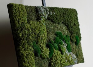 Mosrechthoek | Moswens - Moswens