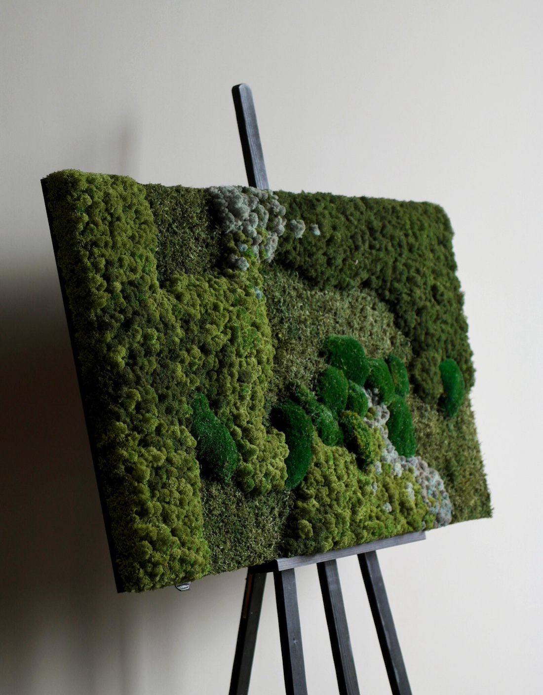 Mosrechthoek | Moswens