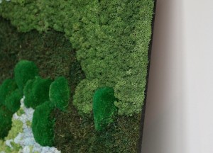 Mosrechthoek | Moswens