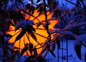 Jouw tuin klaarmaken voor kerst - 