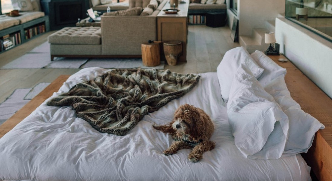 Wat dekt een inboedelverzekering?