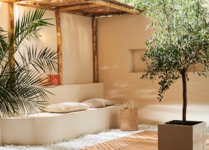 Drie tuintrends voor 2024 - 