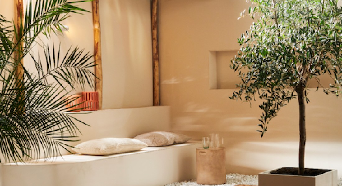 Drie tuintrends voor 2024