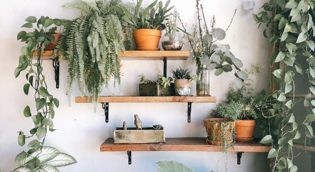 Maak van jouw haard een echt statement piece met groen