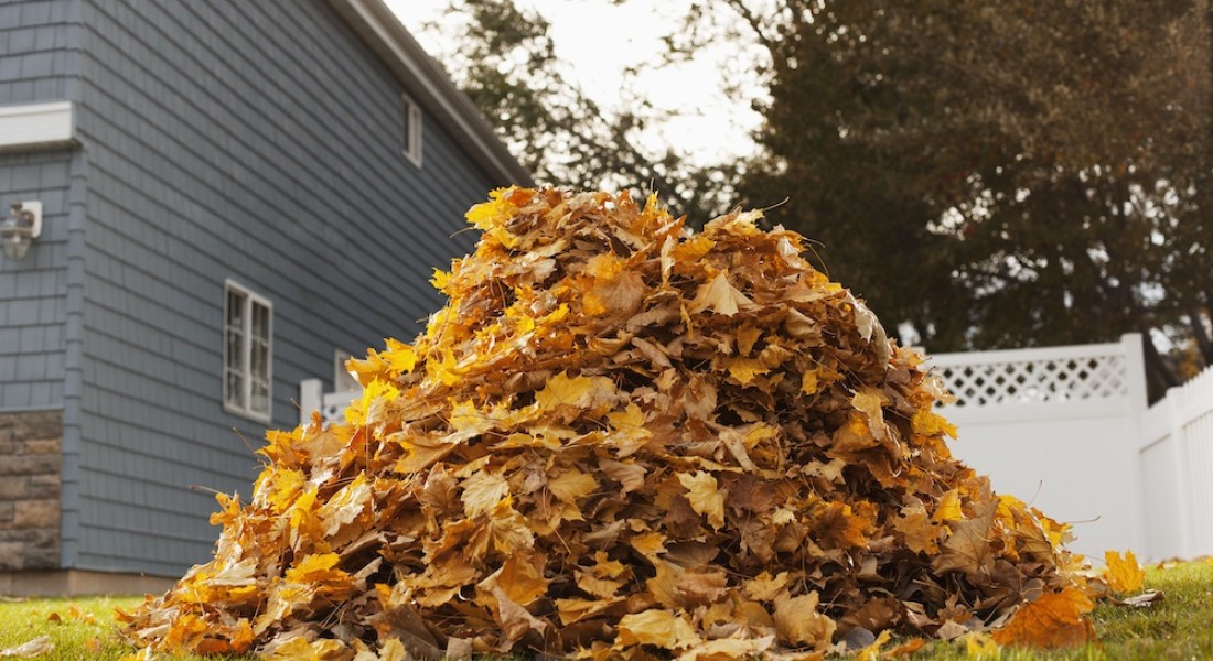 Tuinafval beheren: de voordelen van een groencontainer
