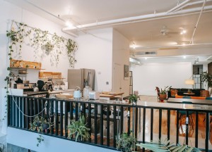 Een sprankje groen: Planten voor een levendige keuken - 