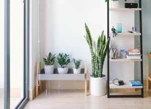 De meest populaire redenen om een tuinkamer aan te bouwen - 