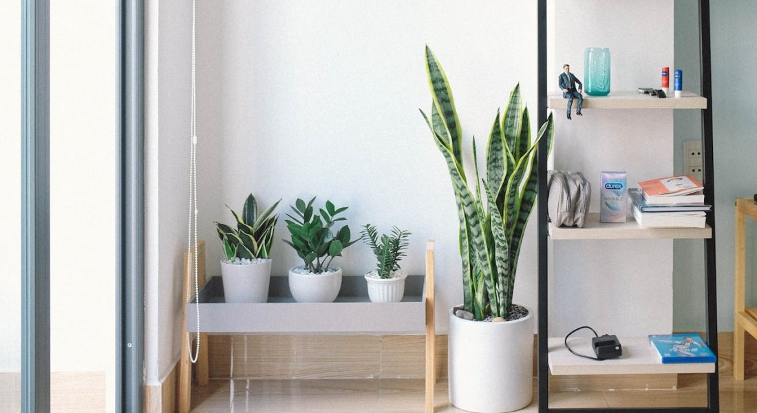 De meest populaire redenen om een tuinkamer aan te bouwen