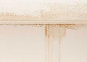 Waarom heb je een lekdetectiebedrijf nodig bij een lekkage in het plafond? - 