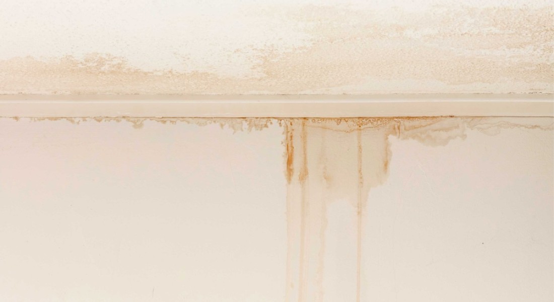 Waarom heb je een lekdetectiebedrijf nodig bij een lekkage in het plafond?