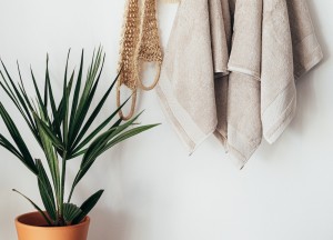 Groen oase in de badkamer: De perfecte planten - 